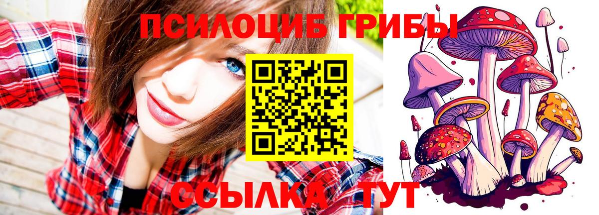 наркотики  Псилоцибиновые грибы Psilocybine cubensis  Вход с VPN  Рыбинск 